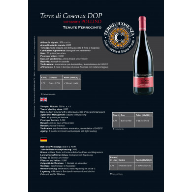 Vino Magliocco   DOP Terre di Cosenza 75cl