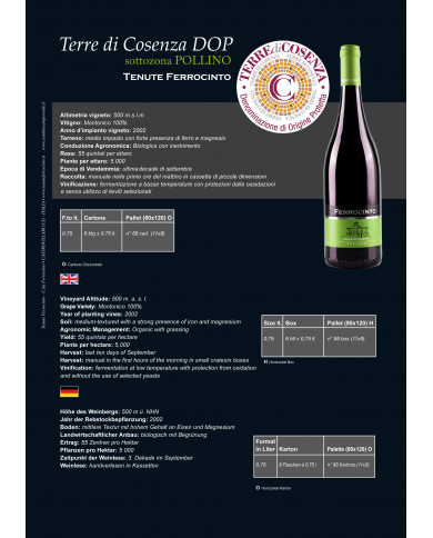 Vino Montonico BIANCO   DOP Terre di Cosenza 75cl