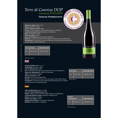 Vino Montonico BIANCO   DOP Terre di Cosenza 75cl