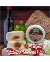 Pecorino Biologico
