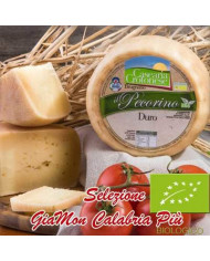 Pecorino Biologico duro