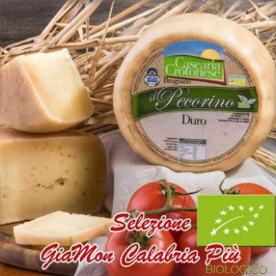 Pecorino Biologico duro