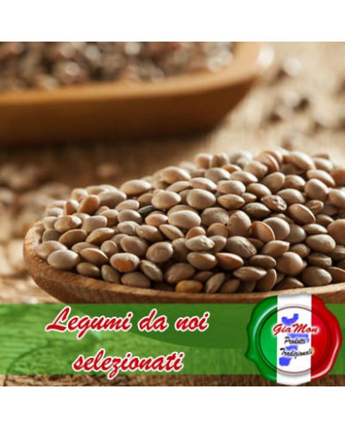 Lenticchie secche