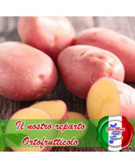 Patate rosse silane