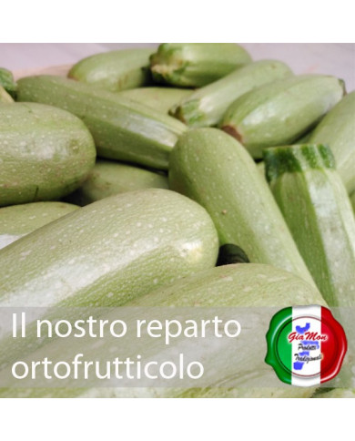 Zucchina bianca di produttori locali