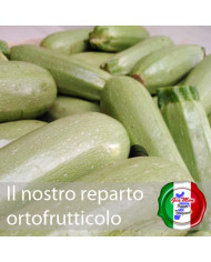 Zucchina bianca di produttori locali