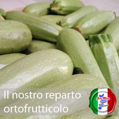 Zucchina bianca di produttori locali