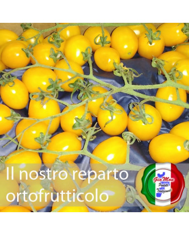 Pomodoro datterino Giallo