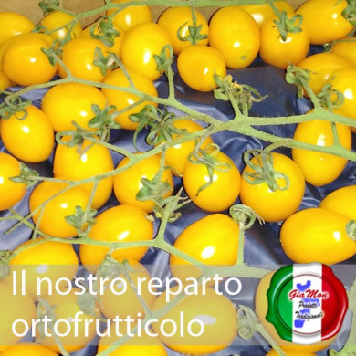 Pomodoro datterino Giallo