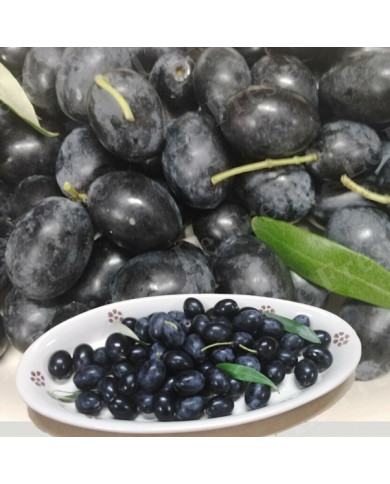 Olive nere da salare o fare al forno