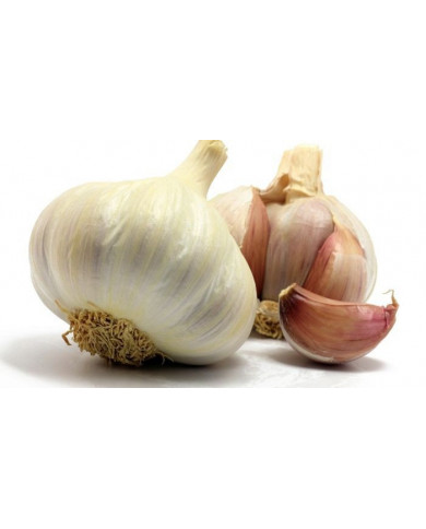 cipolla Rossa di Tropea Calabria I.G.P.