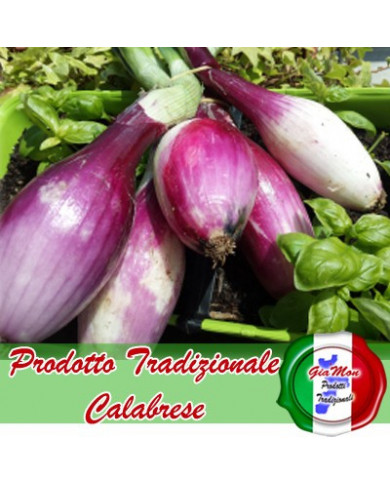 Cipolla rossa di Tropea Calabria