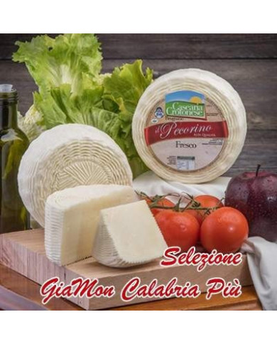 Pecorino Fresco