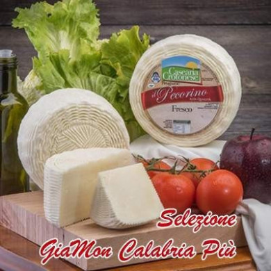 Pecorino Fresco