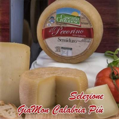 pecorino crotonese semiduro