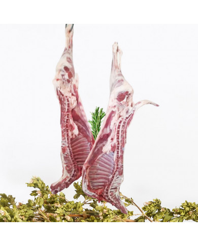 Carne di Capretto nostrano