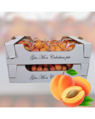 Fave fresche nostrane