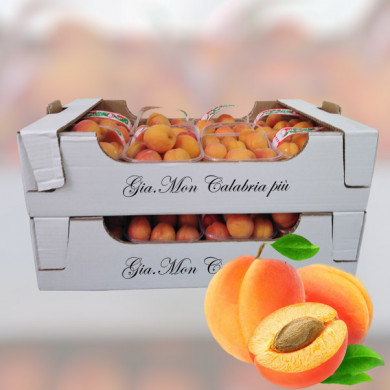 Albicocche della piana di Sibari