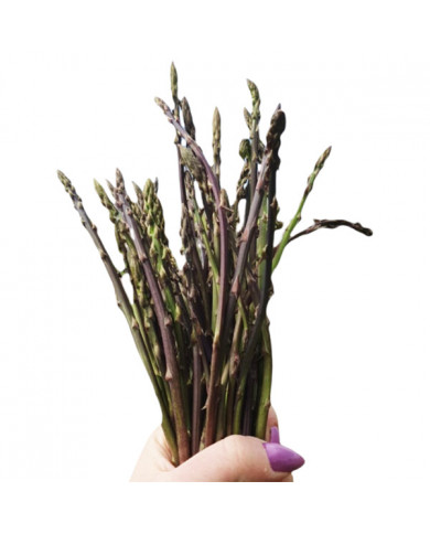 Asparagi selvatici delle colline Calabresi