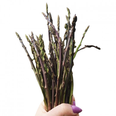 Asparagi selvatici delle colline Calabresi