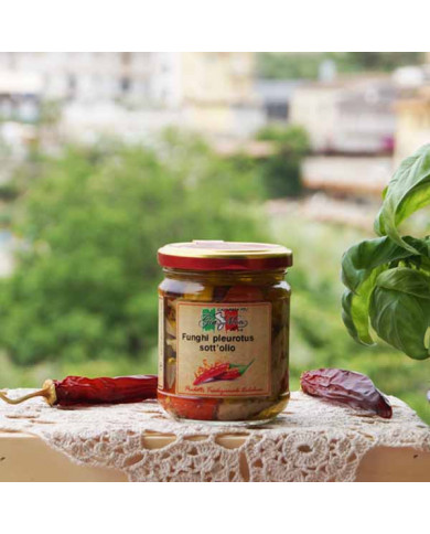 funghi pleurotus alla calabrese
