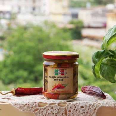 funghi pleurotus alla calabrese