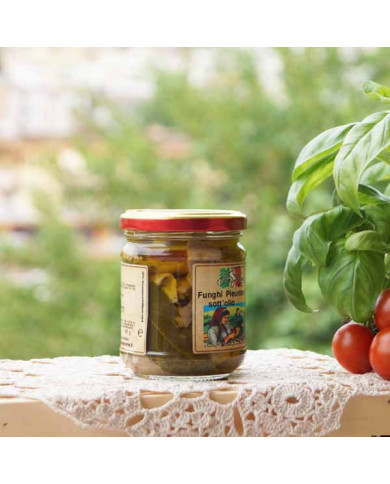 Funghi Pleurotus sott olio