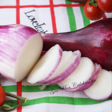 Cipolla rossa di Tropea IGP