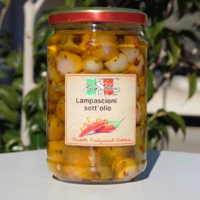 Lampascioni sott'olio alla Calabrese