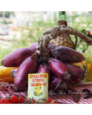 Cipolla Rossa di Tropea IGP a Treccia