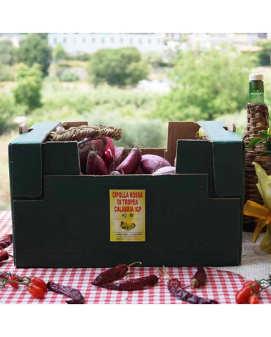 Cipolle rosse di Tropea IGP