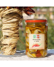 Melanzane a fette sott'olio a crudo