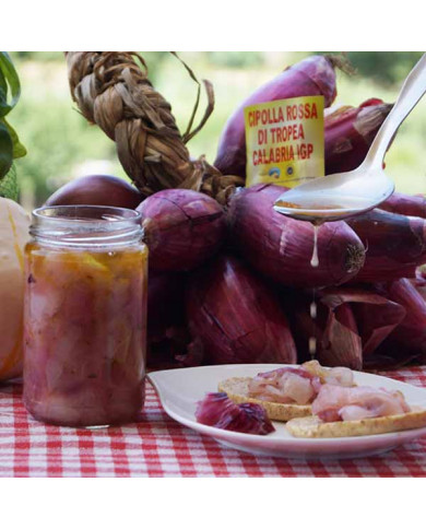 cipolla rossa in agrodolce artigianale