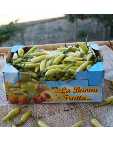 Peperoncino Calabrese Giallo