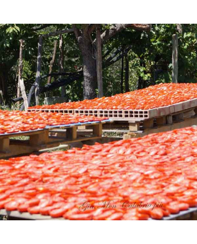 Pomodori secchi Italiani