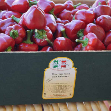 Peperone San Salvatore