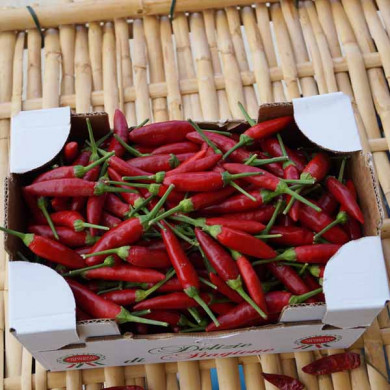 Peperoncino Calabrese
