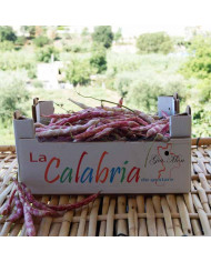 Fagioli borlotti freschi di montagna