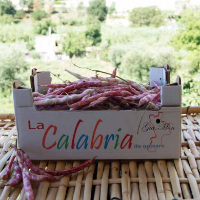 Fagioli borlotti freschi di montagna