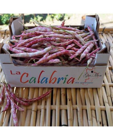 Fagioli Borlotti di Montagna di Rotonda (PZ): Una Delizia Culinarie dalla Calabria
