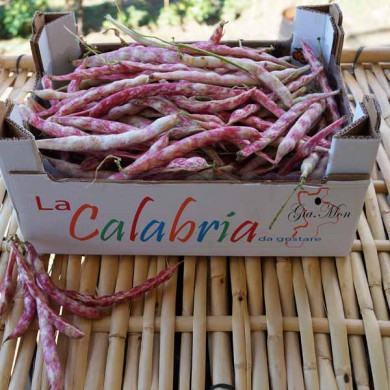 Fagioli Borlotti di Montagna di Rotonda (PZ): Una Delizia Culinarie dalla Calabria