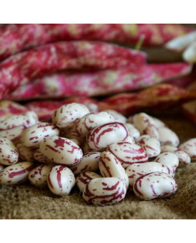 Fagioli Borlotti di Montagna