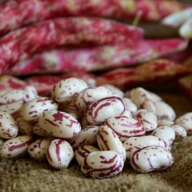 Fagioli Borlotti di Montagna