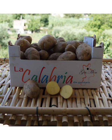 Patate novelle a pasta gialla