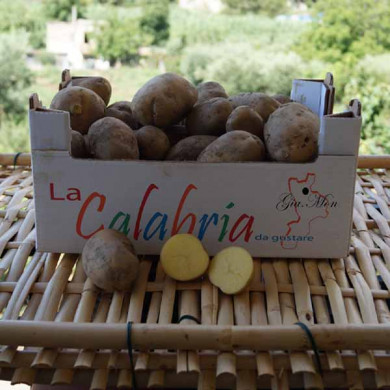 Patate novelle a pasta gialla