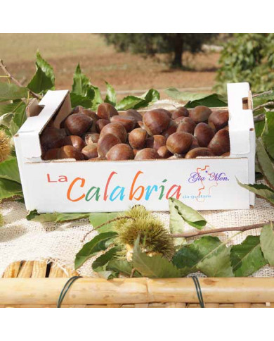 Castagne del sud Italia online
