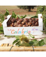 Castagne del sud Italia online