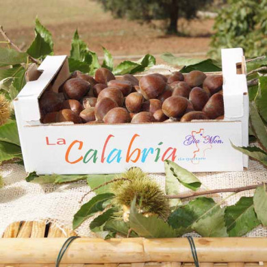 Castagne del sud Italia online