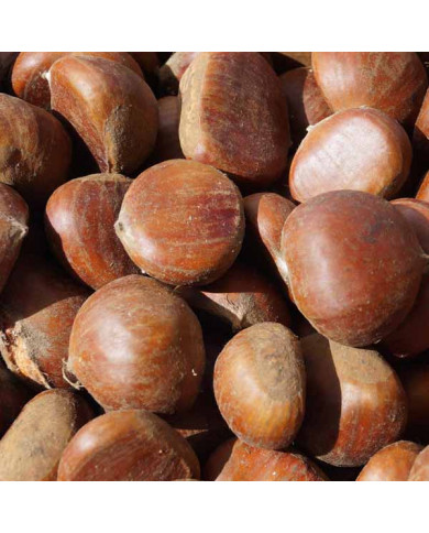 Castagne al forno morbide