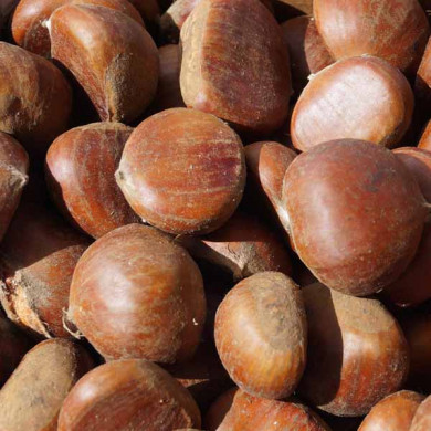 Castagne al forno morbide